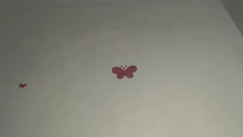 Iris online show from 3, 3, 2026