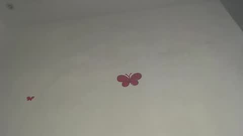 Iris online show from 9, 3, 2026