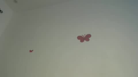 Iris online show from 6, 4, 2026