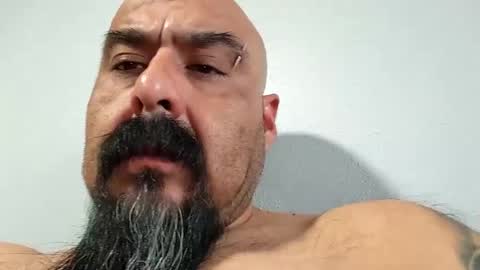 Snapshot of hornychrisla chatting on 19, 12, 2024 hornychrisla online show from 19, 12, 2024