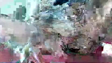Snapshot of hornydrop_ chatting on 30, 9, 2025 hornydrop_ online show from 30, 9, 2025