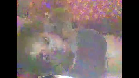 hornygal001 online show from 8, 4, 2026