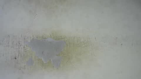 Bella online show from 25, 2, 2026