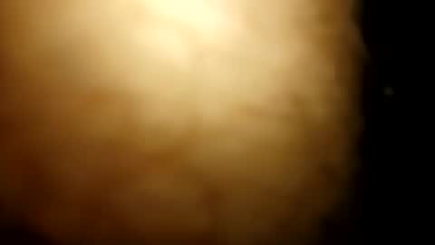 horsecock9748 online show from 6, 3, 2026