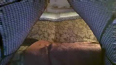 Snapshot of hot2nite22 chatting on 10, 2, 2026 hot2nite22 online show from 10, 2, 2026