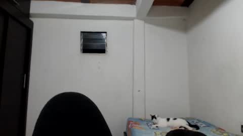 angels online show from 23, 11, 2025