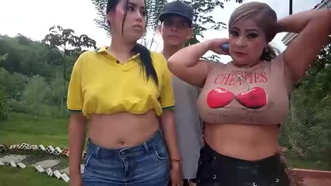 kittens online show from 27, 5, 2026