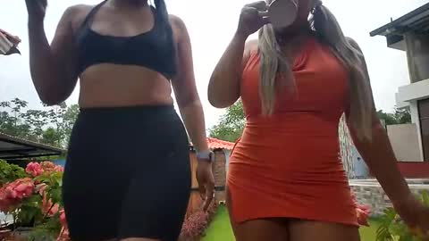 kittens online show from 30, 5, 2026