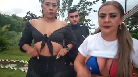 kittens online show from 22, 6, 2026