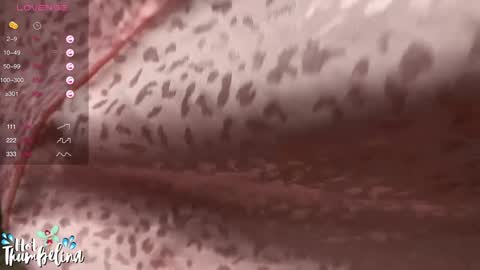Snapshot of hot_thumbelina chatting on 5, 1, 2025 Hot Thumbelina online show from 5, 1, 2025