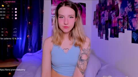  Next stream 28112024 8 GMT 3 online show from 2, 2, 2025