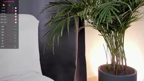Snapshot of hotay_ chatting on 28, 1, 2025 Andrew xdres08 online show from 28, 1, 2025