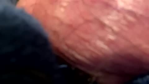 hotdog1124 online show from 6, 1, 2025