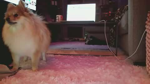 hotgirlbigbutt online show from 17, 1, 2026