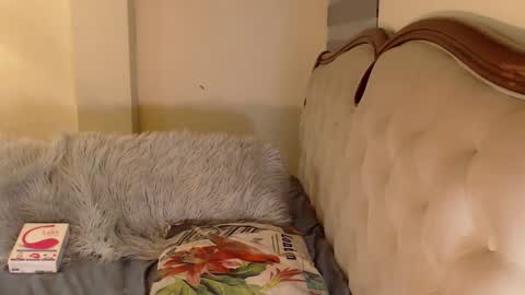 Snapshot of hotgoddesselectrax chatting on 29, 10, 2025 Miss ELY online show from 29, 10, 2025