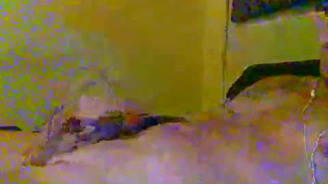 Snapshot of hotjox chatting on 5, 3, 2026 hotjox online show from 5, 3, 2026