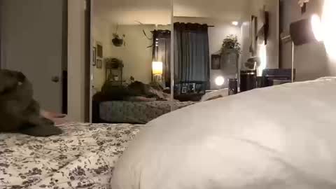 Annabelle online show from 14, 10, 2025