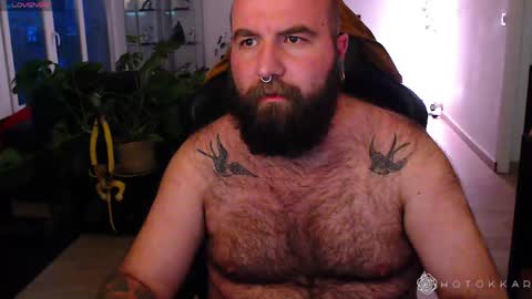 Hotokkar online show from 23, 3, 2026