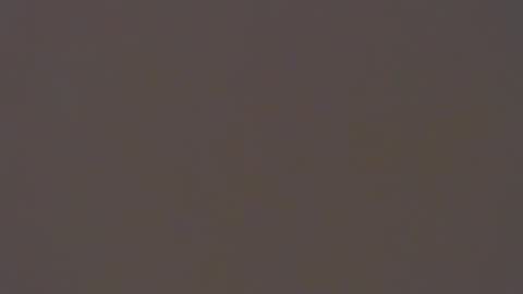 dada11 online show from 22, 11, 2025