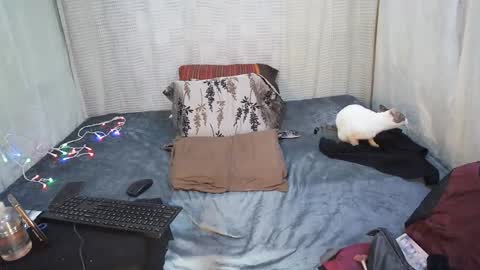 Snapshot of hottiedanicatrans69 chatting on 18, 5, 2026 hottiedanicatrans69 online show from 18, 5, 2026