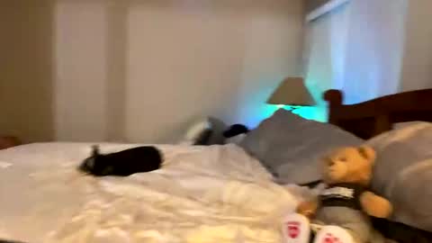 hottiewithabody101 online show from 11, 4, 2026