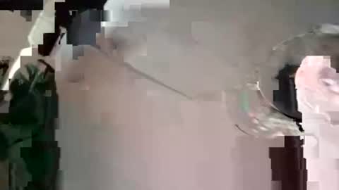 houndmefromhell online show from 4, 12, 2024