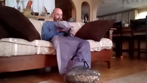 houndmefromhell online show from 6, 3, 2025