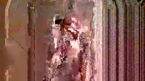 houndmefromhell online show from 5, 12, 2025