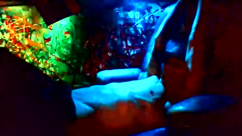 ask me online show from 12, 1, 2025