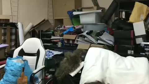 howsthat2024 online show from 18, 1, 2025