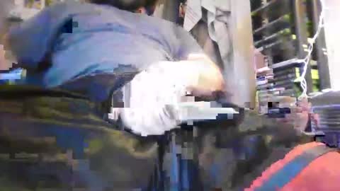 hrnyymff online show from 10, 11, 2025