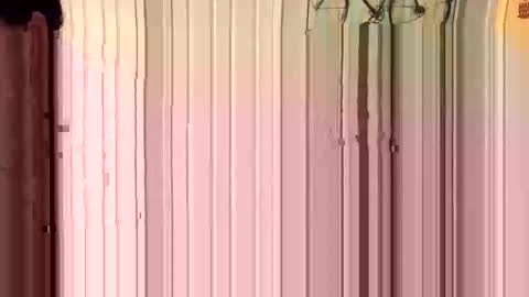 Tito1010 online show from 30, 11, 2025