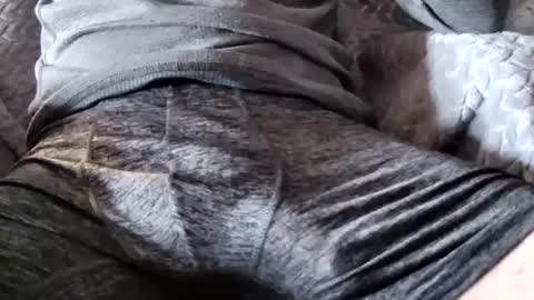hugepecker131 online show from 18, 12, 2025