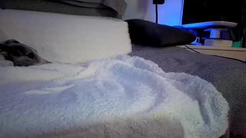 Hugo online show from 14, 2, 2025