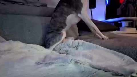 Hugo online show from 10, 3, 2025