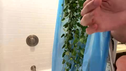 hung_and_horny1005 online show from 24, 11, 2025