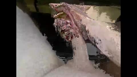 hung_mac0 online show from 7, 4, 2026