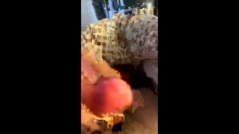 Snapshot of hungminer69 chatting on 12, 4, 2026 hungminer69 online show from 12, 4, 2026