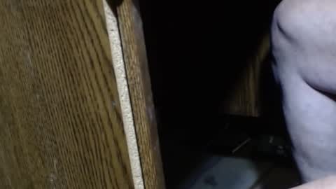 hungsofine online show from 15, 12, 2024