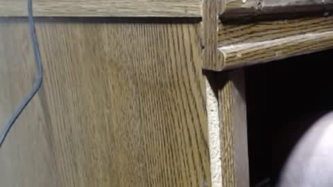 hungsofine online show from 26, 12, 2024