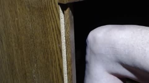 hungsofine online show from 12, 1, 2025