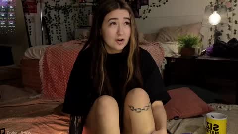 Meg  online show from 22, 12, 2024