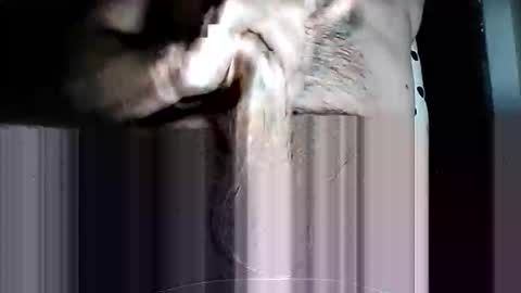 Snapshot of iamtheswayze chatting on 11, 3, 2026 Pat online show from 11, 3, 2026