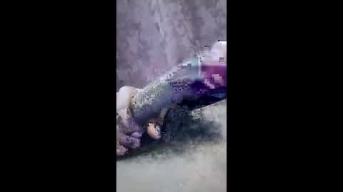 ibhcgvuspcrb online show from 4, 3, 2026