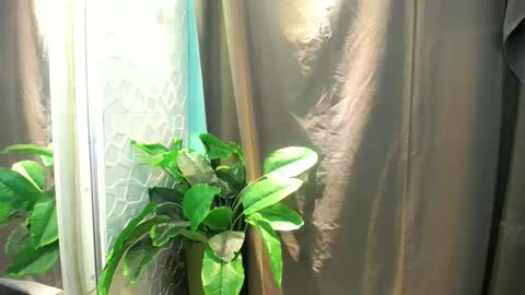 Snapshot of icy_heartxoxox chatting on 3, 2, 2026 Heart online show from 3, 2, 2026