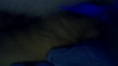 igcognito647033 online show from 23, 3, 2026