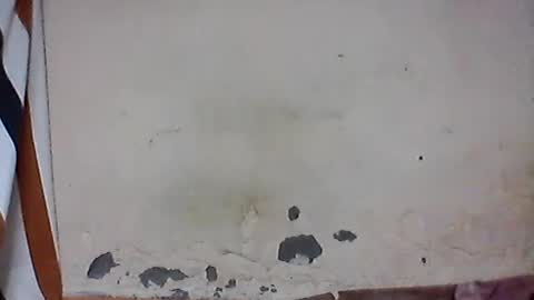Snapshot of iiiirasoa chatting on 12, 7, 2026 iiiirasoa online show from 12, 7, 2026