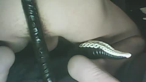 ikercheal online show from 29, 1, 2025