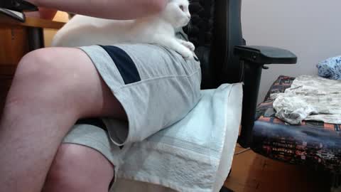 lord online show from 9, 9, 2025