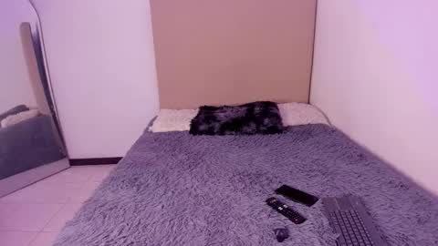 Perseo - Help me with 50 thumbs up online show from 26, 2, 2026